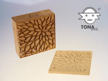 No.SL2 seamless plant cell structure